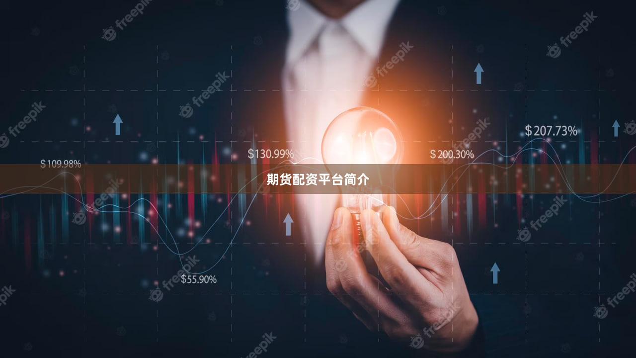 期货配资平台简介
