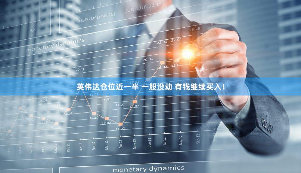 英伟达仓位近一半 一股没动 有钱继续买入！