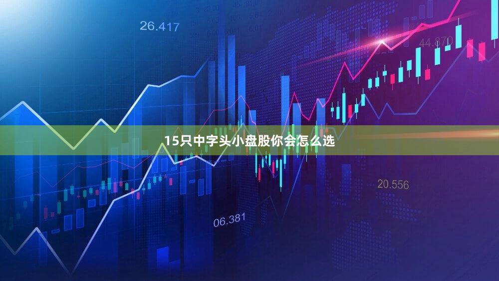 15只中字头小盘股你会怎么选