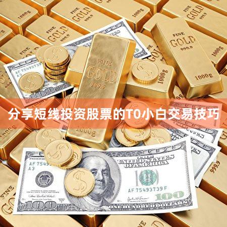 分享短线投资股票的T0小白交易技巧