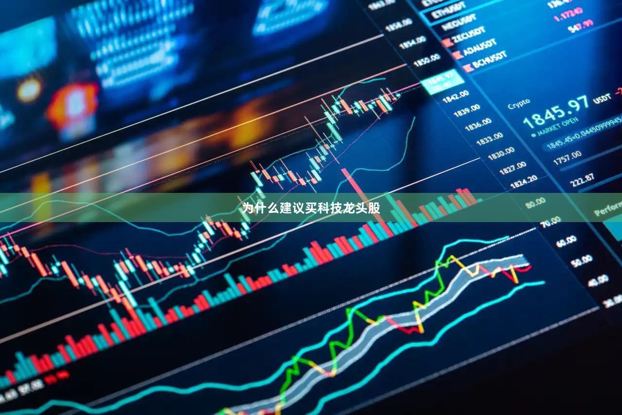 为什么建议买科技龙头股