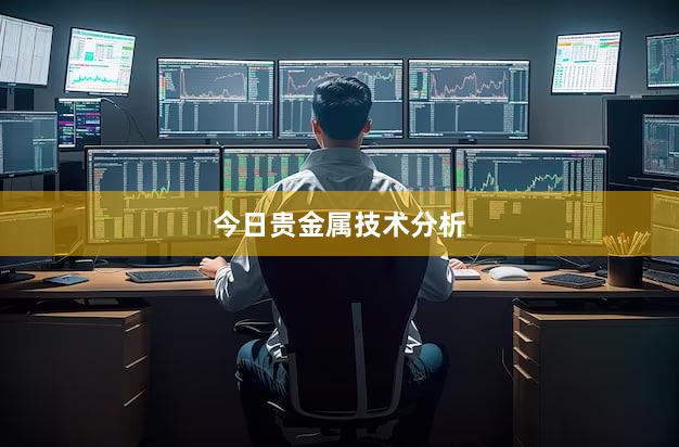 今日贵金属技术分析