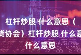 杠杆炒股 什么意思（期货协会）杠杆炒股 什么意思