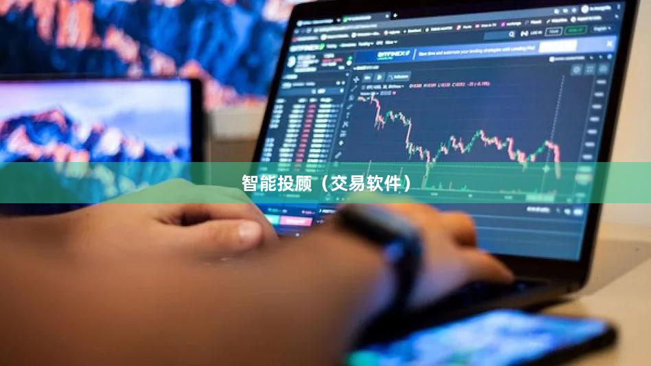 智能投顾（交易软件）
