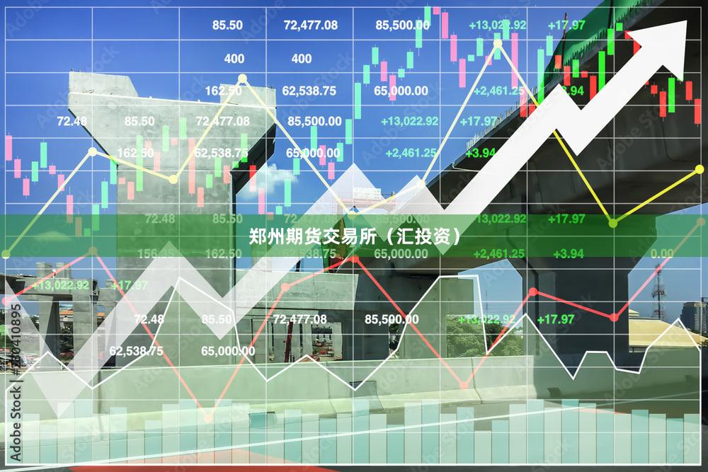 郑州期货交易所（汇投资）