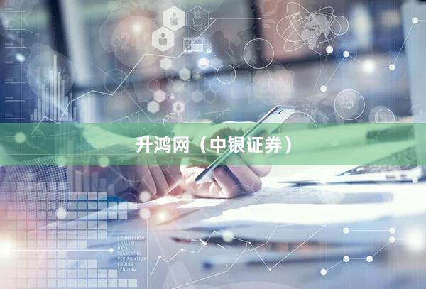 升鸿网（中银证券）