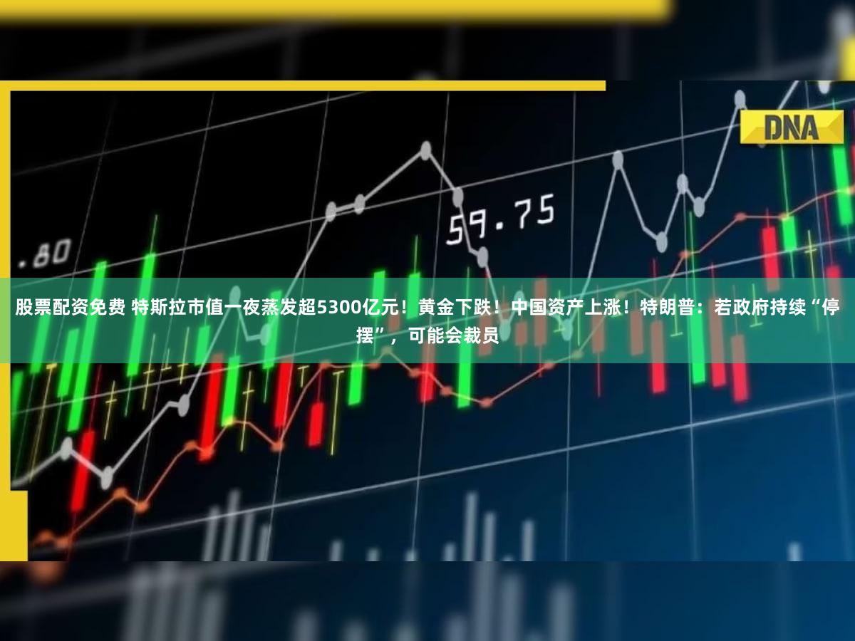 股票配资免费 特斯拉市值一夜蒸发超5300亿元！黄金下跌！中国资产上涨！特朗普：若政府持续“停摆”，可能会裁员
