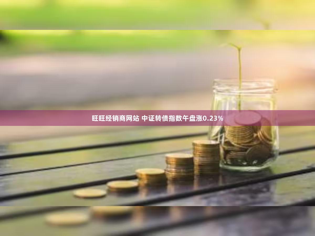 旺旺经销商网站 中证转债指数午盘涨0.23%