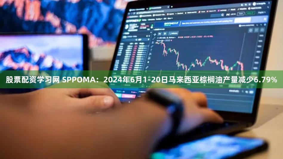 股票配资学习网 SPPOMA:2024年6月1-20日马来西亚棕榈油产量减少6.79%