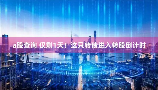 a股查询 仅剩1天！这只转债进入转股倒计时