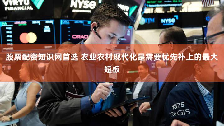 股票配资知识网首选 农业农村现代化是需要优先补上的最大短板